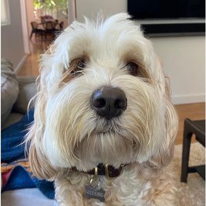 Meet your Posher, Carla